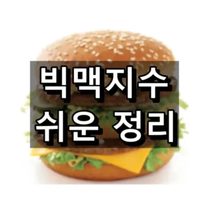 빅맥지수 대표 이미지