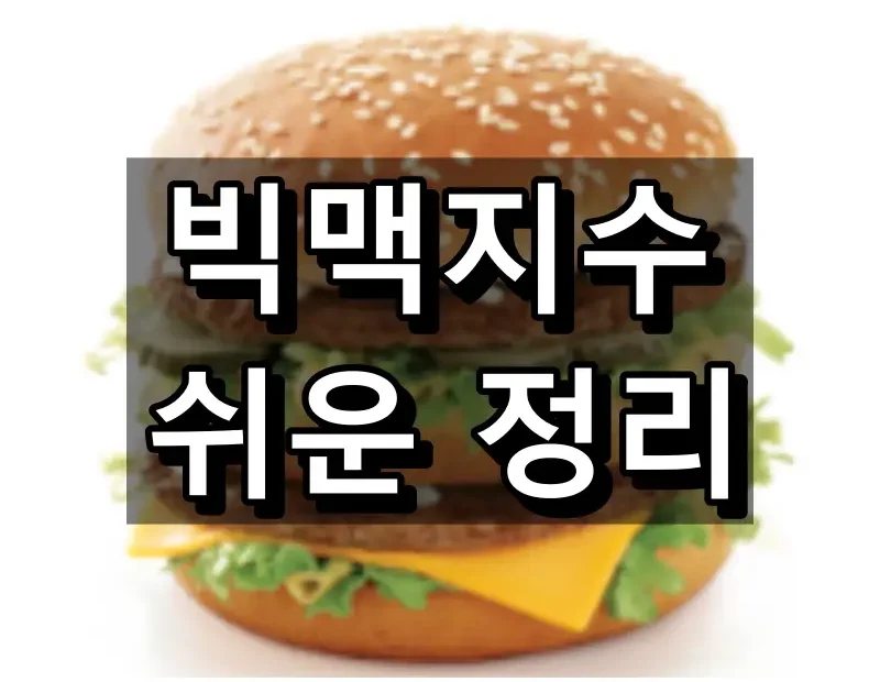 빅맥지수 대표 이미지